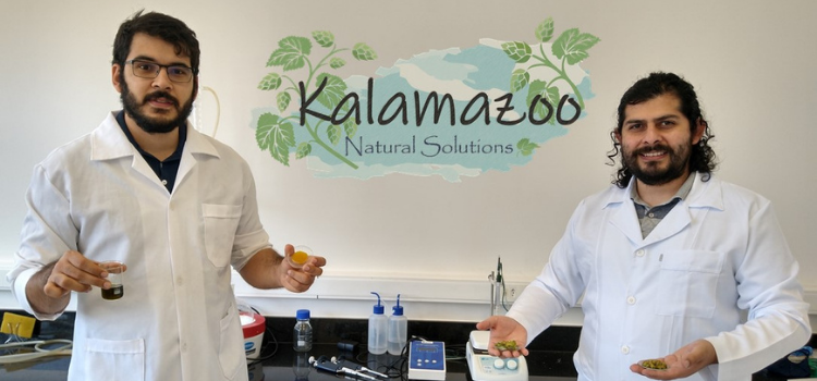 Da esquerda para a direita está Aureliano Dias vestindo um jaleco branco e Manuel Barrales usando também um jaleco branco. Eles estão no laboratório da Kalamazoo, empresa-filha da Unicamp, mostrando os produtos de lúpulo que estão em desenvolvimento.