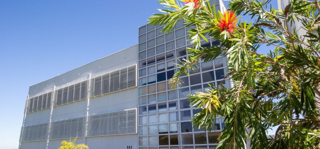 A imagem mostra a fachada do prédio Soma do Parque Científico e Tecnológico da Unicamp. É possível ver um prédio espelhado ao fundo e uma pequena árvore com flores no canto direito da imagem. Fim da descrição.